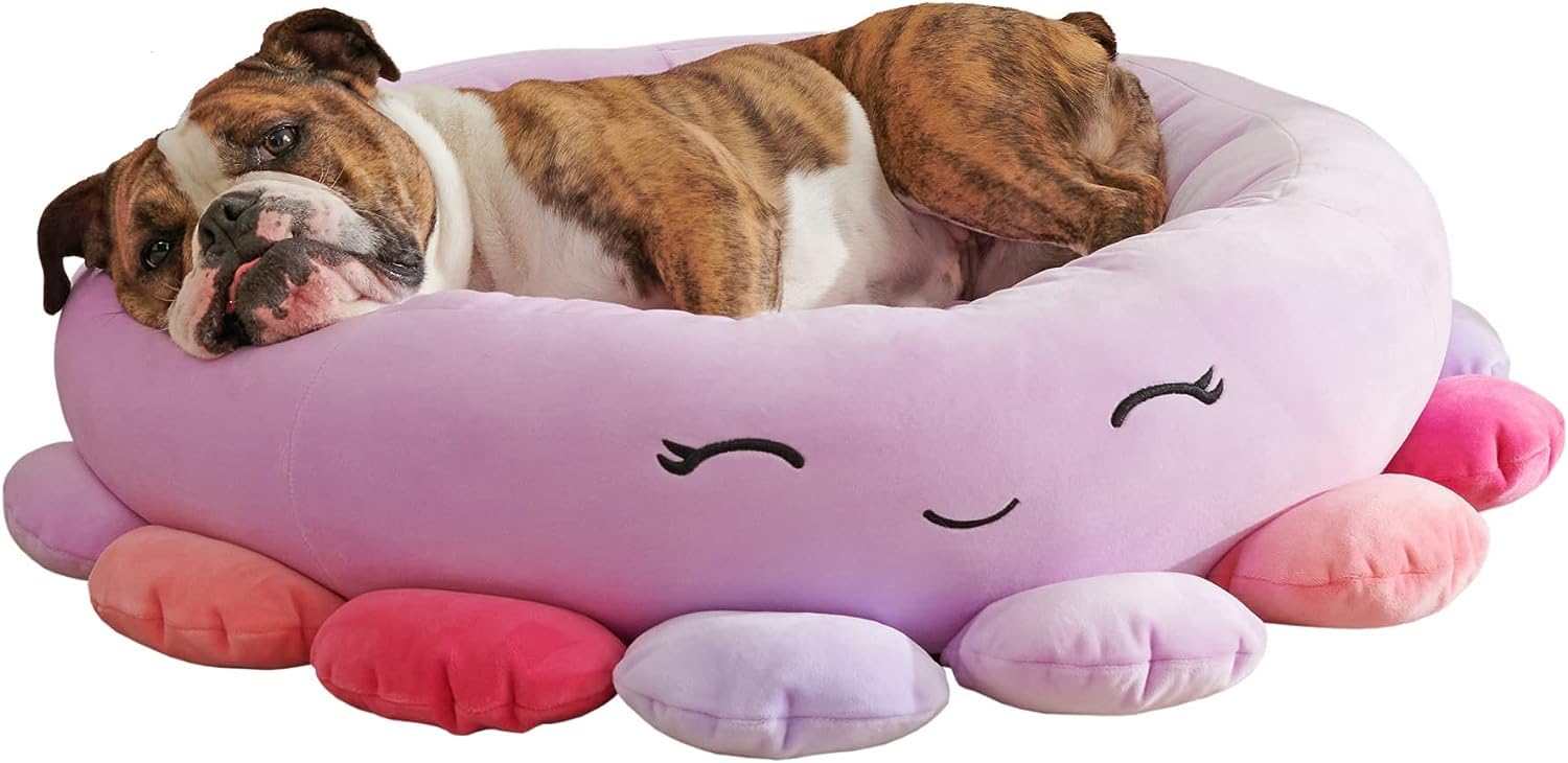 Rare pets Squishmallows plush collection including cat and dog Squishmallows